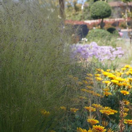 Les Jardins De Santa Giulia - Charmante Chambre D'Hote Πόρτο Βέκιο Εξωτερικό φωτογραφία